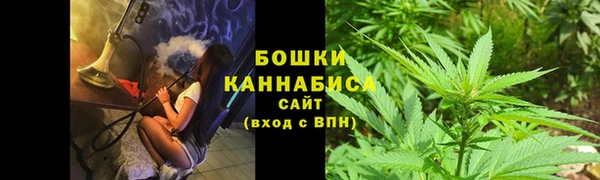 PSILOCYBIN Абдулино