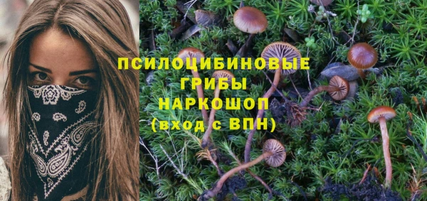 кокаин колумбия Алзамай