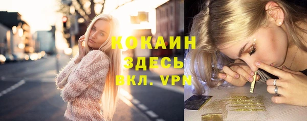 винт Алексин