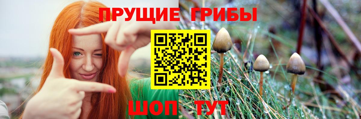 Красноперекопск  дарнет шоп  Вход с VPN  Галлюциногенные грибы прущие грибы 